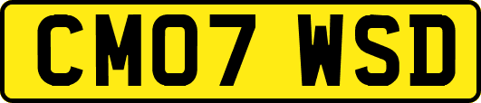CM07WSD
