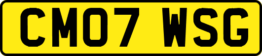 CM07WSG