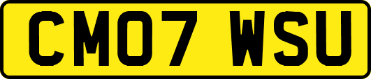 CM07WSU