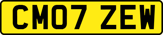CM07ZEW