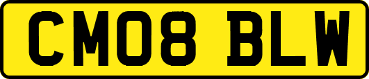 CM08BLW