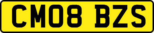CM08BZS
