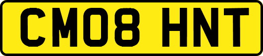 CM08HNT
