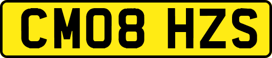 CM08HZS