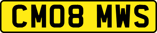 CM08MWS