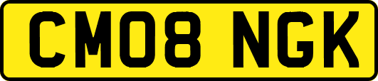 CM08NGK