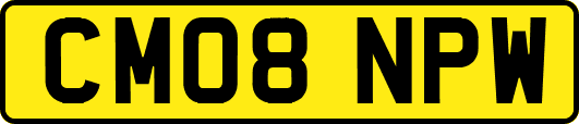 CM08NPW