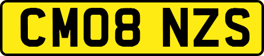 CM08NZS