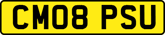CM08PSU