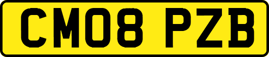 CM08PZB