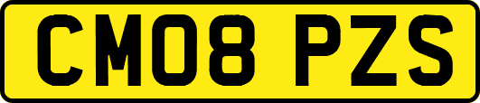 CM08PZS
