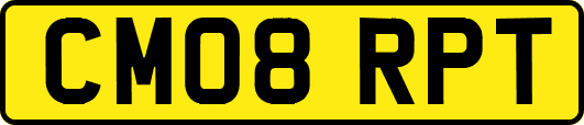 CM08RPT