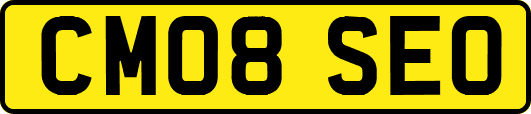 CM08SEO