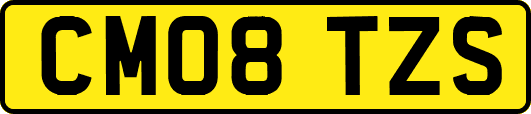 CM08TZS