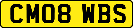 CM08WBS