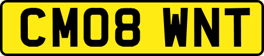 CM08WNT