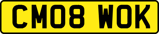 CM08WOK