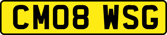 CM08WSG