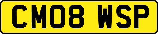 CM08WSP