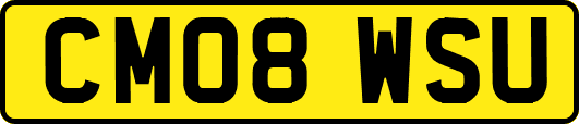CM08WSU