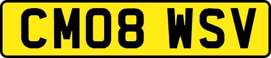 CM08WSV