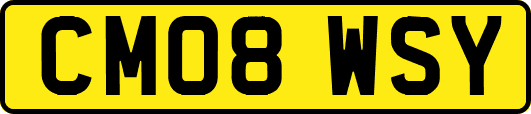 CM08WSY