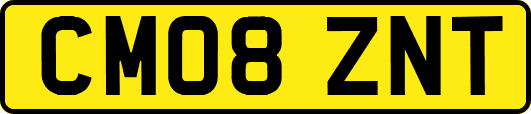CM08ZNT