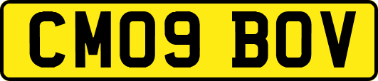CM09BOV