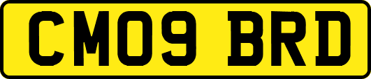 CM09BRD