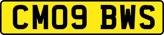 CM09BWS