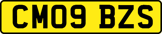 CM09BZS