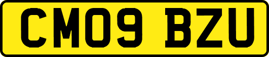 CM09BZU