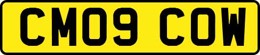 CM09COW