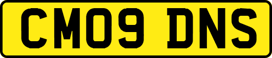 CM09DNS