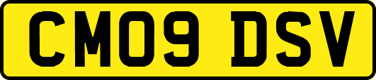 CM09DSV