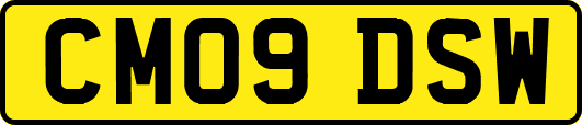 CM09DSW