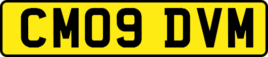 CM09DVM