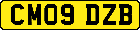 CM09DZB