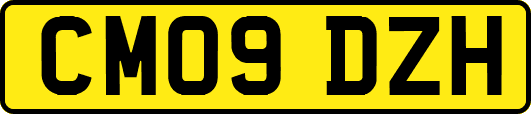 CM09DZH