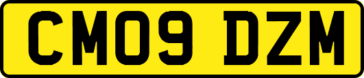 CM09DZM