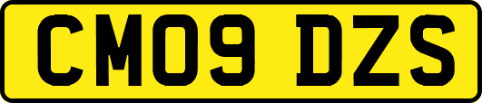 CM09DZS