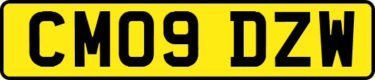 CM09DZW