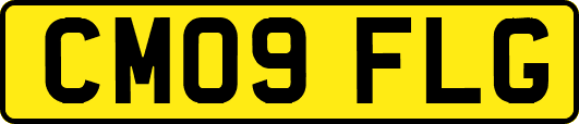 CM09FLG