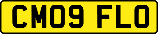 CM09FLO