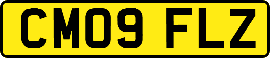 CM09FLZ