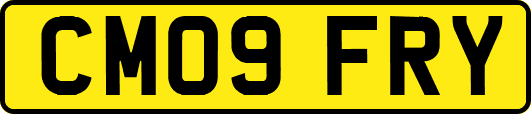 CM09FRY