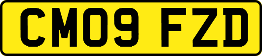 CM09FZD