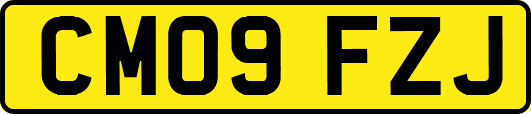 CM09FZJ