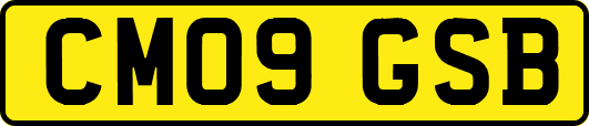 CM09GSB