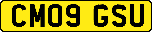 CM09GSU